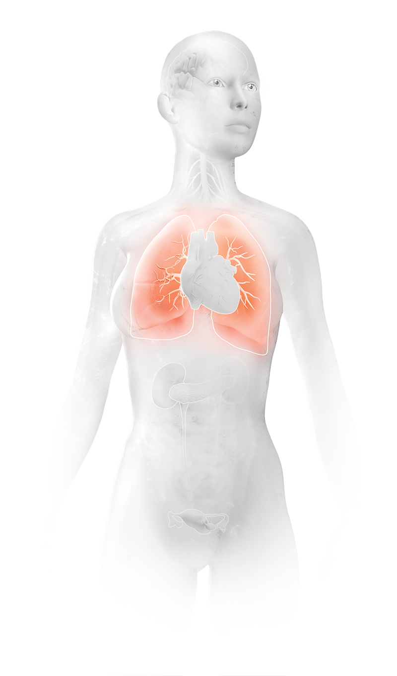 Illustration of a human body highlighting the lungs