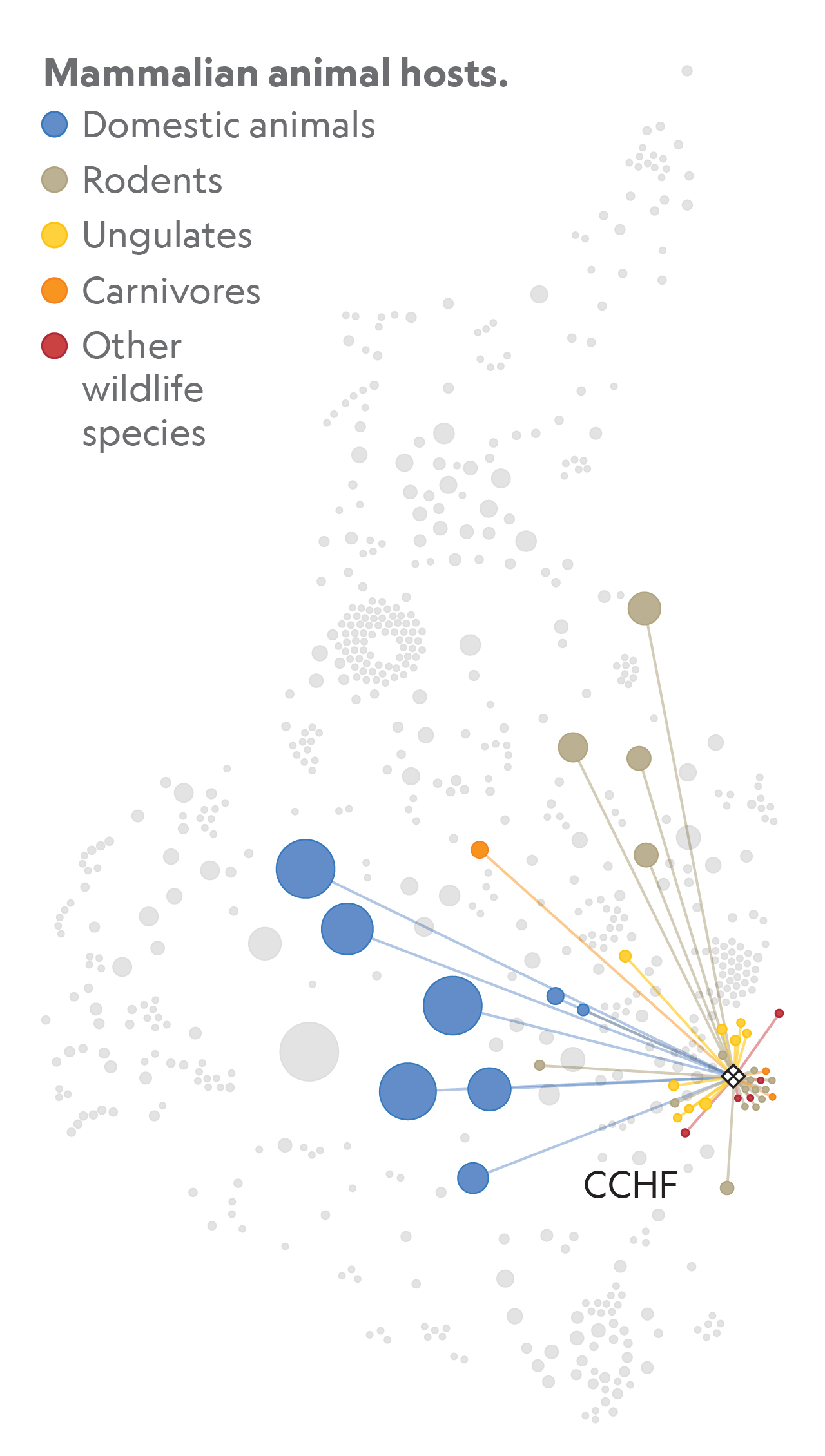 Viruses that infect domesticated species are easier to track and are ...