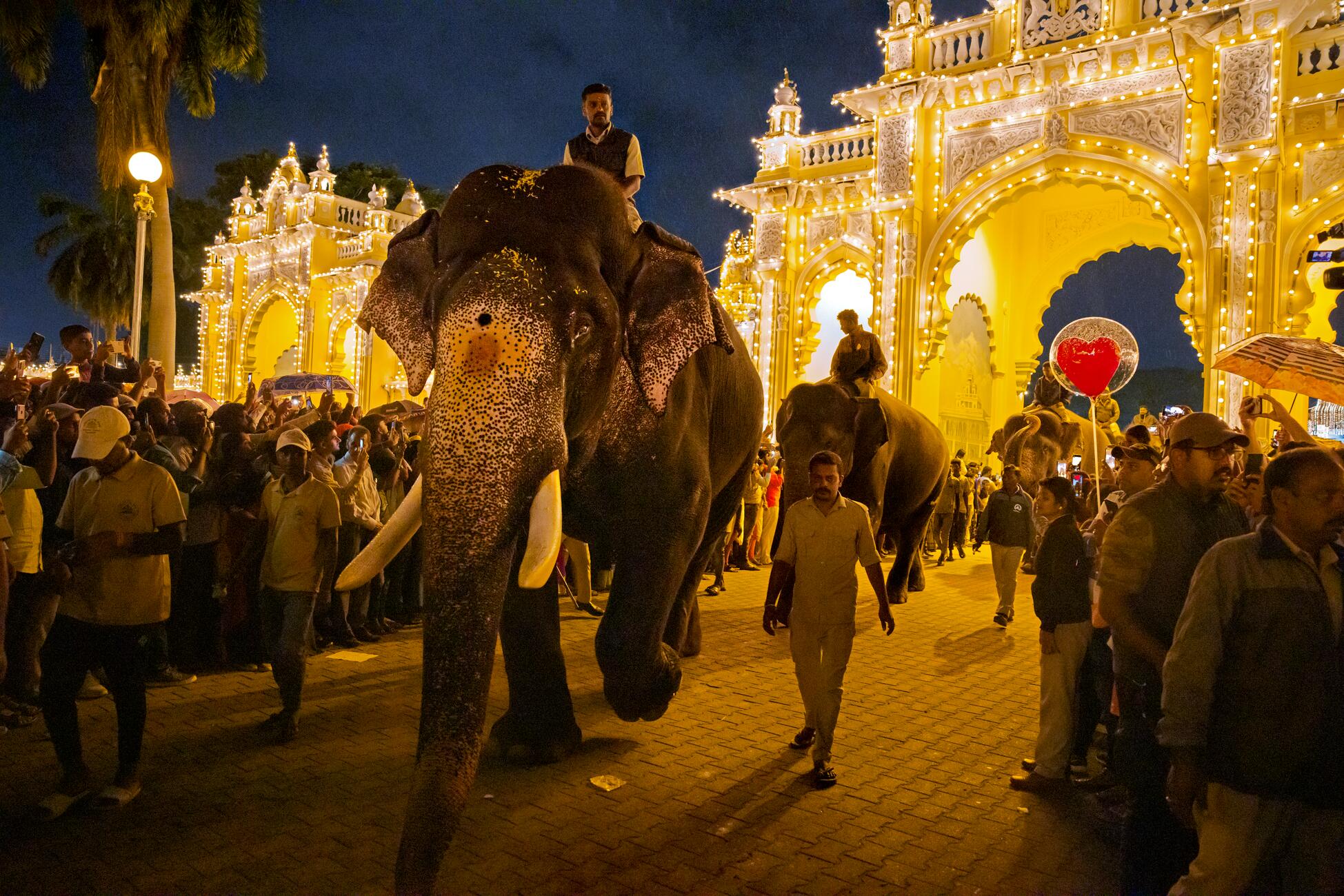 Picture of a line of large elephants being ridden by men at night through ornate white arches lit with small white lights, surrounded by a large crowd holding up cell phones and one person holding a heart-shaped balloon
