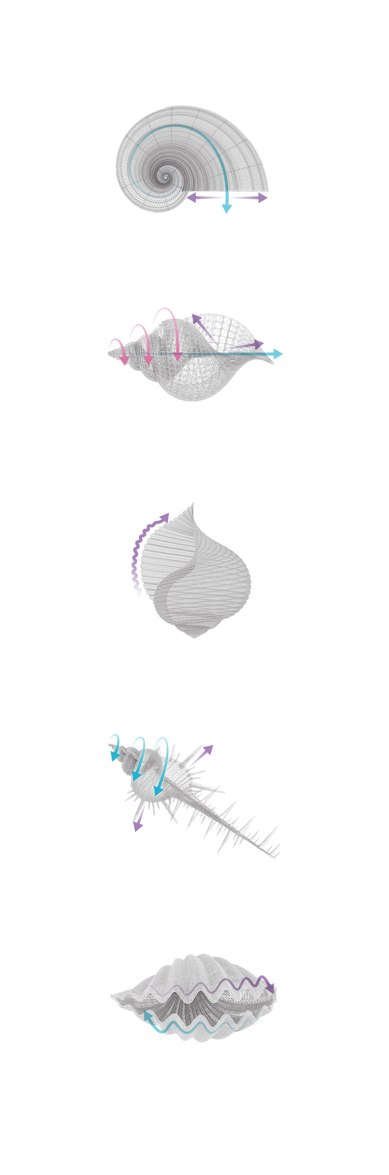 Forces behind the forms